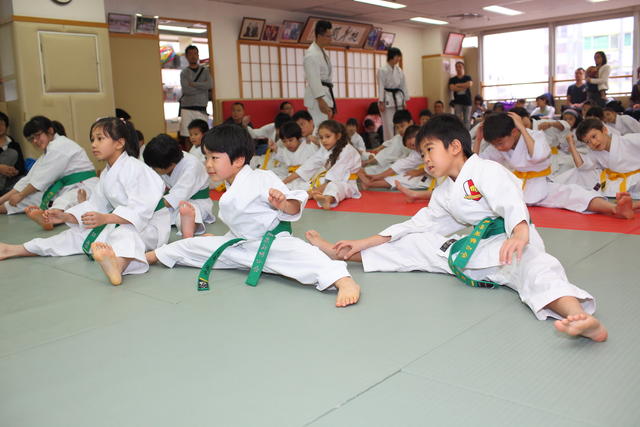 2013-04-28-Karate test003