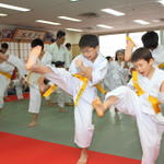 2013-04-28-Karate test008