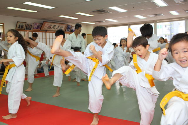 2013-04-28-Karate test008