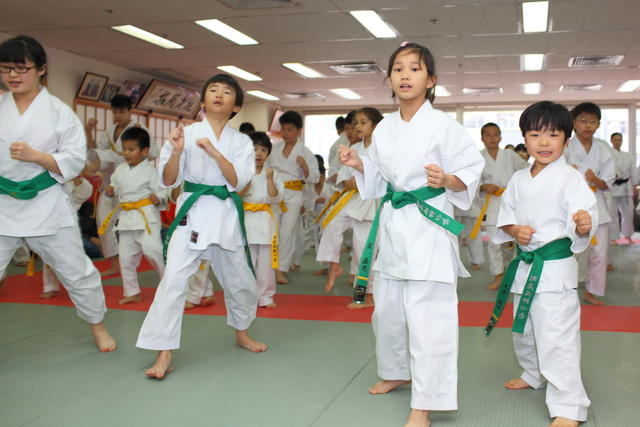 2013-04-28-Karate test009