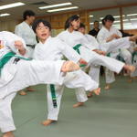 2013-04-28-Karate test010