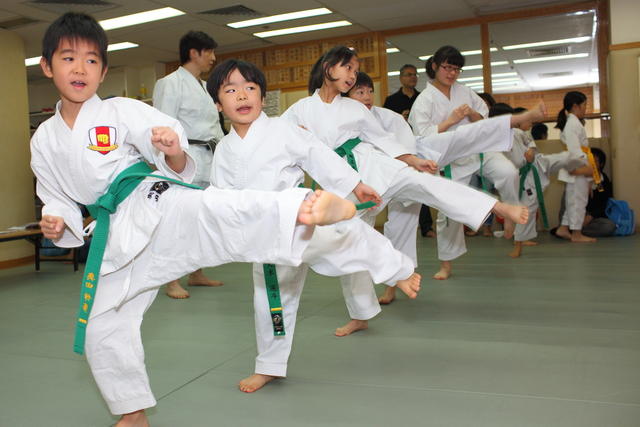 2013-04-28-Karate test010