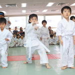 2013-04-28-Karate test019