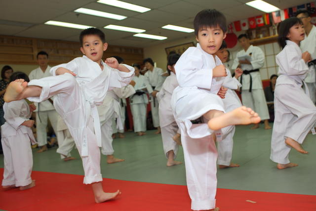 2013-04-28-Karate test027