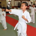 2013-04-28-Karate test029