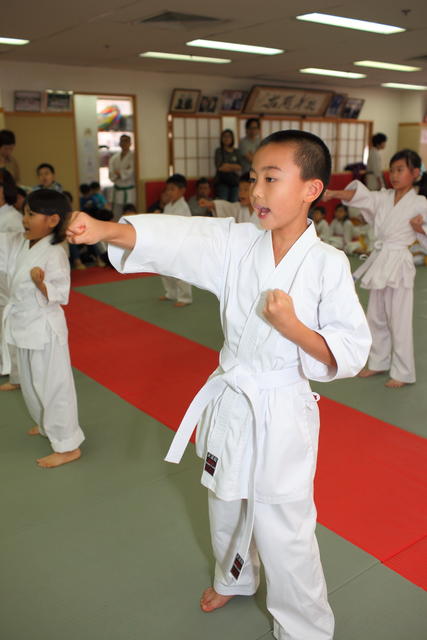 2013-04-28-Karate test029