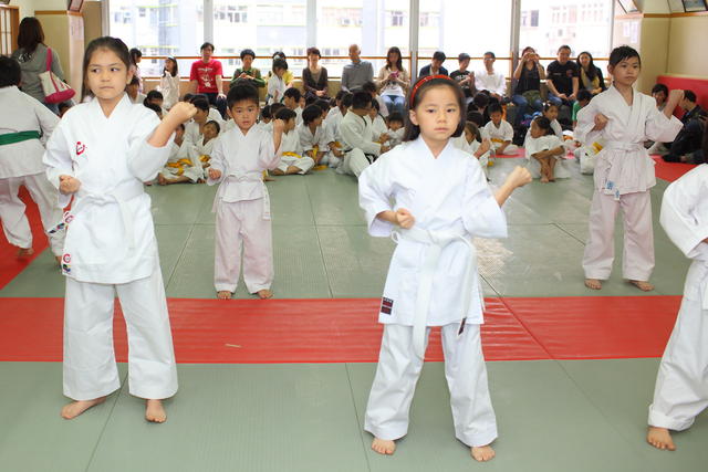 2013-04-28-Karate test031