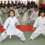 2013-04-28-Karate test032