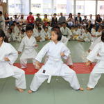 2013-04-28-Karate test033