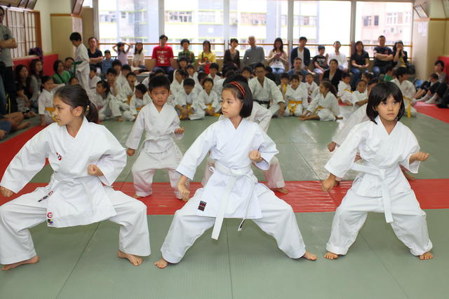 2013-04-28-Karate test033