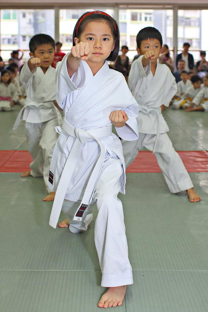 2013-04-28-Karate test034