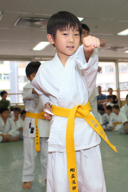 2013-04-28-Karate test035