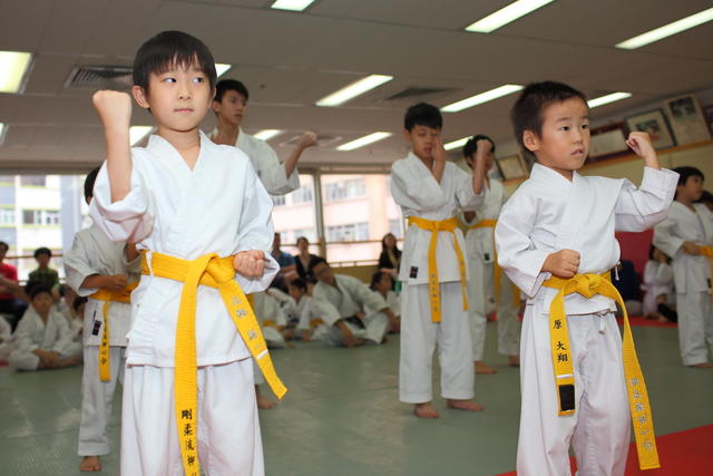 2013-04-28-Karate test036