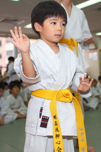 2013-04-28-Karate test039