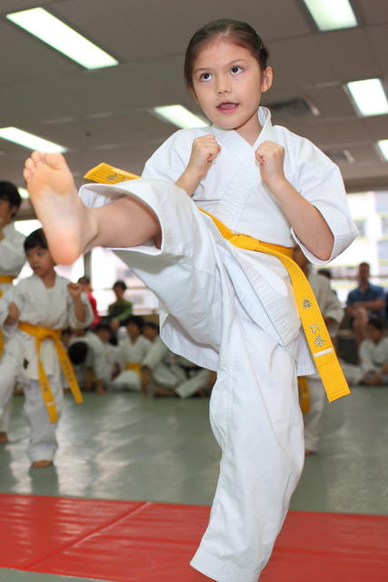 2013-04-28-Karate test041