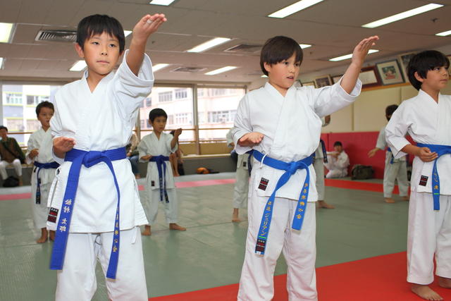 2013-04-28-Karate test065