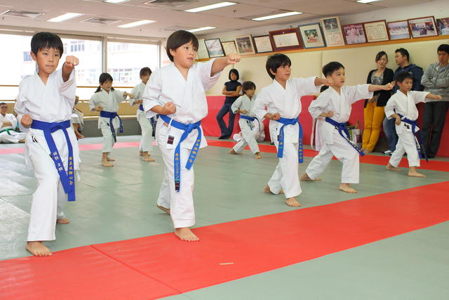 2013-04-28-Karate test073