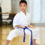 2013-05-05-Karate Contest044