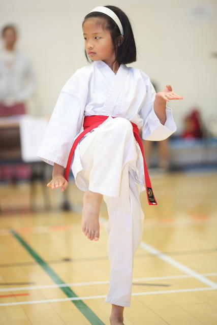 2013-05-05-Karate Contest098