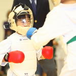 2013-05-05-Karate Contest146