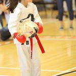 2013-05-05-Karate Contest166